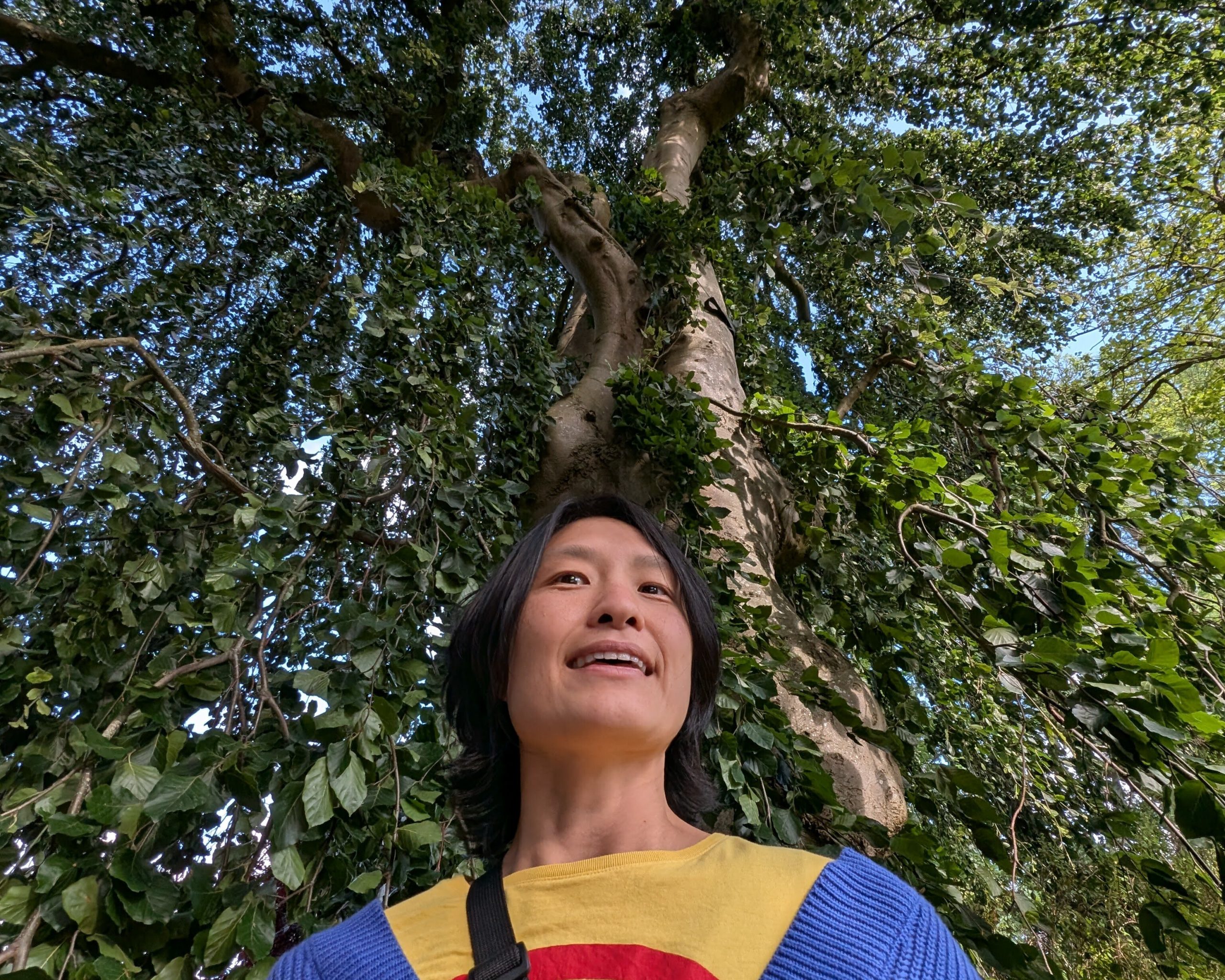 cf879af0-af64-4135-8480-b45d18aa98e7